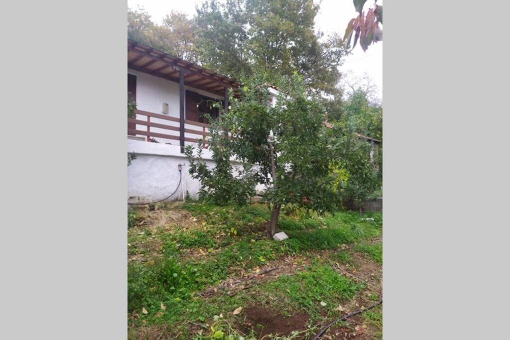 Holiday home Maro's Agios Lavrentios
